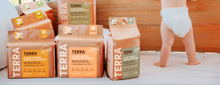 Terra