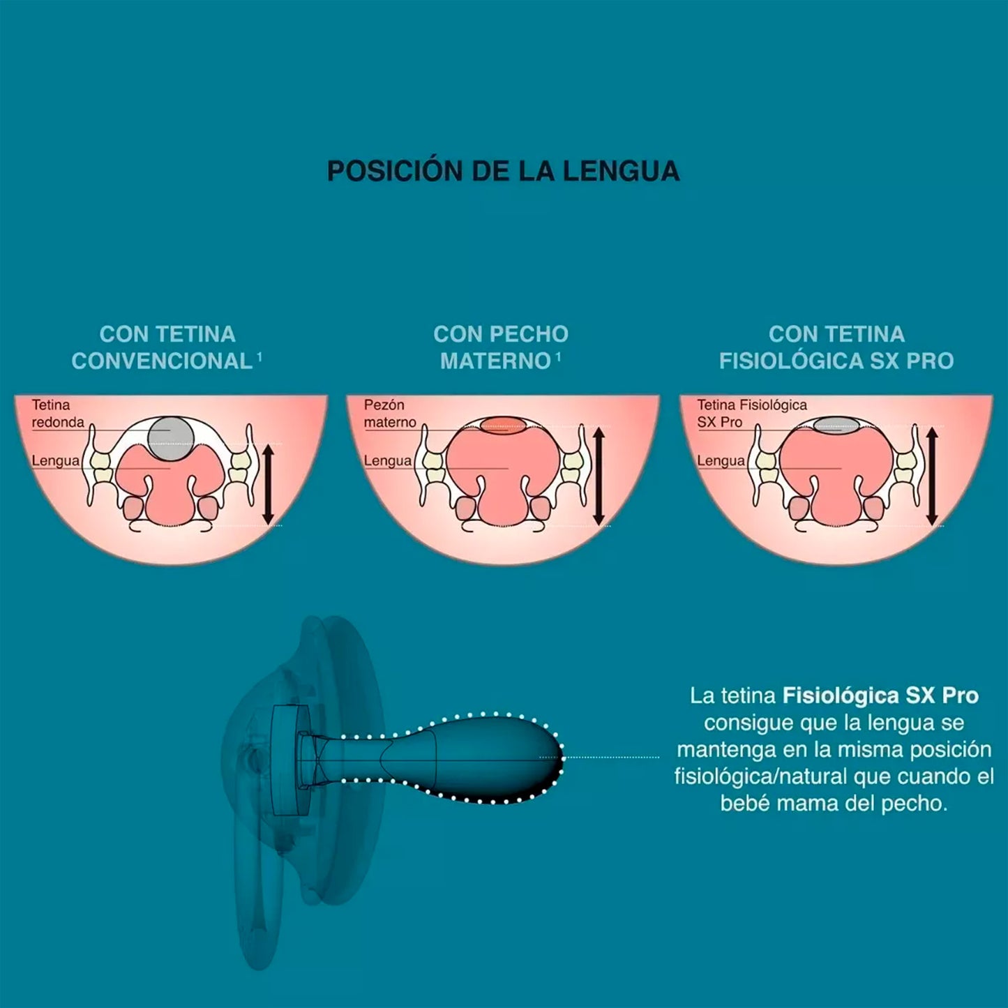 Pack de 2 Chupetes Forest con Tetina Fisiológica de Silicona SX Pro 6-18 meses